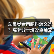 茄果类专用肥料怎么选?高养分土壤改良神器推荐(图3) 茄果类专用肥料怎么选?高养分土壤改良神器推荐(图3)