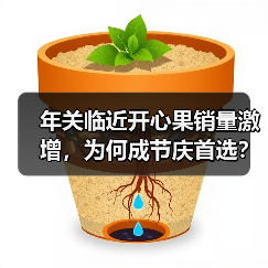 年关临近开心果销量激增，为何成节庆首选？（图1）