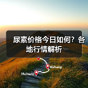 尿素价格今日如何？各地行情解析（图3）