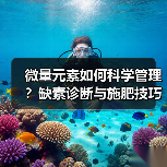 微量元素如何科学管理？缺素诊断与施肥技巧全解析（图1）