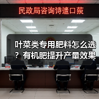 叶菜类专用肥料怎么选?有机肥提升产量效果显著(图3) 叶菜类专用肥料怎么选?有机肥提升产量效果显著(图3)
