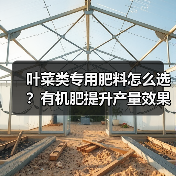 叶菜类专用肥料怎么选?有机肥提升产量效果显著(图1) 叶菜类专用肥料怎么选?有机肥提升产量效果显著(图1)