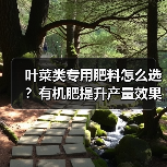 叶菜类专用肥料怎么选?有机肥提升产量效果显著(图4) 叶菜类专用肥料怎么选?有机肥提升产量效果显著(图4)