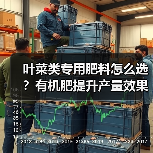 叶菜类专用肥料怎么选?有机肥提升产量效果显著(图2) 叶菜类专用肥料怎么选?有机肥提升产量效果显著(图2)