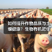 如何提升作物品质与土壤健康?生物有机肥使用全攻略(图4) 如何提升作物品质与土壤健康?生物有机肥使用全攻略(图4)