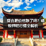 复合肥价格跌了吗？磷铵钾肥行情全解析（图1）