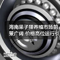 海南果子狸养殖市场前景广阔 价格高位运行引关注(图3) 海南果子狸养殖市场前景广阔 价格高位运行引关注(图3)