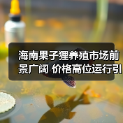 海南果子狸养殖市场前景广阔 价格高位运行引关注(图1) 海南果子狸养殖市场前景广阔 价格高位运行引关注(图1)