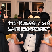 土壤
