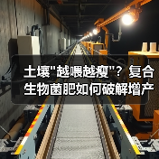 土壤