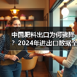 中国肥料出口为何骤降？2024年进出口数据全解析（图1）