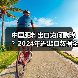 中国肥料出口为何骤降？2024年进出口数据全解析（图3）