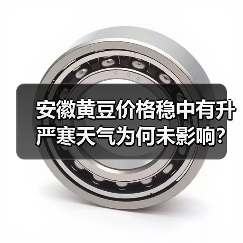 安徽黄豆价格稳中有升 严寒天气为何未影响?(图1) 安徽黄豆价格稳中有升 严寒天气为何未影响?(图1)