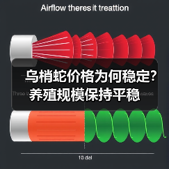 乌梢蛇价格为何稳定?养殖规模保持平稳(图4) 乌梢蛇价格为何稳定?养殖规模保持平稳(图4)