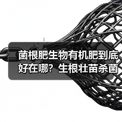 菌根肥生物有机肥到底好在哪?生根壮苗杀菌抑虫效果揭秘(图1) 菌根肥生物有机肥到底好在哪?生根壮苗杀菌抑虫效果揭秘(图1)