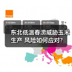 东北低温春涝威胁玉米生产 风险如何应对?(图4) 东北低温春涝威胁玉米生产 风险如何应对?(图4)