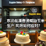东北低温春涝威胁玉米生产 风险如何应对?(图3) 东北低温春涝威胁玉米生产 风险如何应对?(图3)
