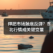钾肥市场触底反弹？东北行情成关键变量（图4）