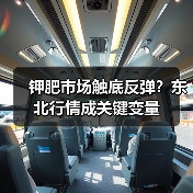 钾肥市场触底反弹？东北行情成关键变量（图3）