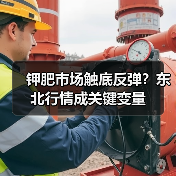 钾肥市场触底反弹？东北行情成关键变量（图1）