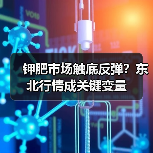钾肥市场触底反弹？东北行情成关键变量（图2）