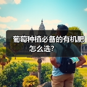 葡萄种植必备的有机肥怎么选?(图4) 葡萄种植必备的有机肥怎么选?(图4)