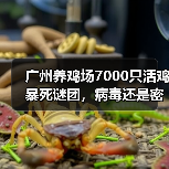 广州养鸡场7000只活鸡暴死谜团,病毒还是密度过高成因?(图4) 广州养鸡场7000只活鸡暴死谜团,病毒还是密度过高成因?(图4)