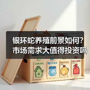 银环蛇养殖前景如何?市场需求大值得投资吗?(图2) 银环蛇养殖前景如何?市场需求大值得投资吗?(图2)