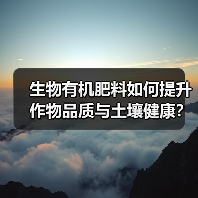 生物有机肥料如何提升作物品质与土壤健康?(图4) 生物有机肥料如何提升作物品质与土壤健康?(图4)