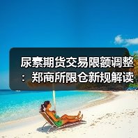 尿素期货交易限额调整：郑商所限仓新规解读（图1）