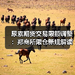 尿素期货交易限额调整：郑商所限仓新规解读（图2）