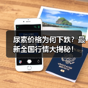 尿素价格为何下跌？最新全国行情大揭秘！（图2）
