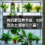 有机肥营养丰富,如何改良土壤提升产量?(图1) 有机肥营养丰富,如何改良土壤提升产量?(图1)