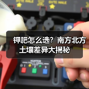 钾肥怎么选？南方北方土壤差异大揭秘（图4）