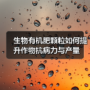 生物有机肥颗粒如何提升作物抗病力与产量(图1) 生物有机肥颗粒如何提升作物抗病力与产量(图1)