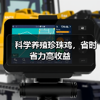 科学养殖珍珠鸡,省时省力高收益(图4) 科学养殖珍珠鸡,省时省力高收益(图4)