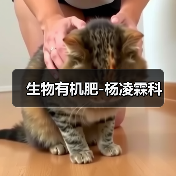 生物有机肥-杨凌霖科(图1) 生物有机肥-杨凌霖科(图1)