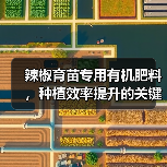 辣椒育苗专用有机肥料，种植效率提升的关键？（图4）