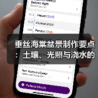垂丝海棠盆景制作要点:土壤、光照与浇水的注意事项(图3) 垂丝海棠盆景制作要点:土壤、光照与浇水的注意事项(图3)