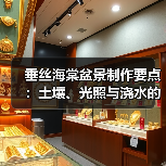 垂丝海棠盆景制作要点:土壤、光照与浇水的注意事项 垂丝海棠盆景制作要点:土壤、光照与浇水的注意事项