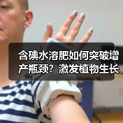 含碘水溶肥如何突破增产瓶颈？激发植物生长潜能提升作物产量（图2）
