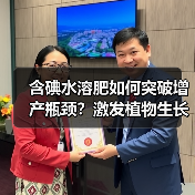 含碘水溶肥如何突破增产瓶颈？激发植物生长潜能提升作物产量（图3）