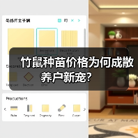 竹鼠种苗价格为何成散养户新宠? 竹鼠种苗价格为何成散养户新宠?