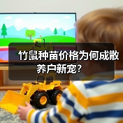 竹鼠种苗价格为何成散养户新宠?(图2) 竹鼠种苗价格为何成散养户新宠?(图2)