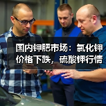 国内钾肥市场：氯化钾价格下跌，硫酸钾行情坚挺？（图4）