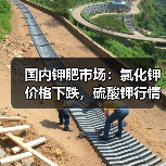 国内钾肥市场：氯化钾价格下跌，硫酸钾行情坚挺？（图3）