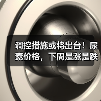 调控措施或将出台！尿素价格，下周是涨是跌？（图2）