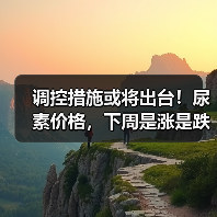 调控措施或将出台！尿素价格，下周是涨是跌？（图4）