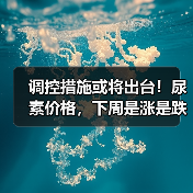 调控措施或将出台！尿素价格，下周是涨是跌？（图3）