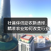 壮苗伴侣助农新选择,精准农业如何改变行业?(图1) 壮苗伴侣助农新选择,精准农业如何改变行业?(图1)